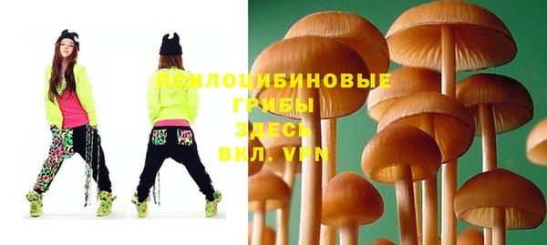 МДПВ Алексеевка