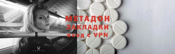 индика Алзамай
