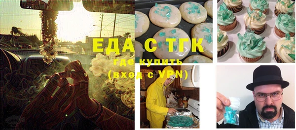 индика Алзамай