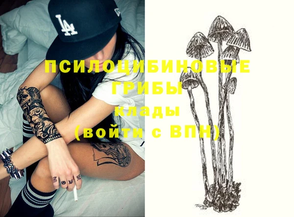 амф Алексин